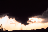 Alabama 2005