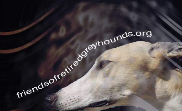 Greyhound Commercial Still
